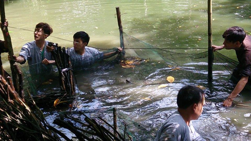 Dỡ chà mùng