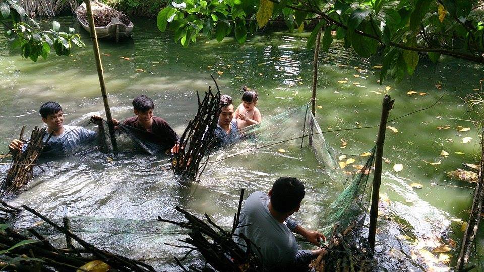 Dỡ chà